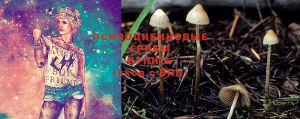 трава Абинск