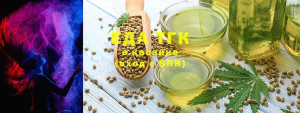 тгк Абаза