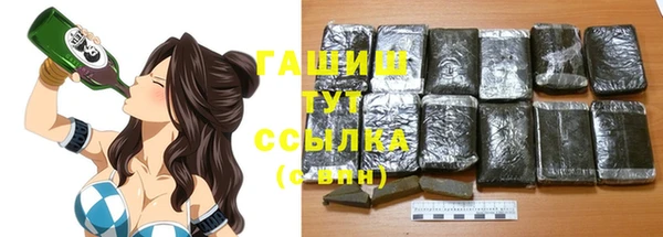 тгк Абаза