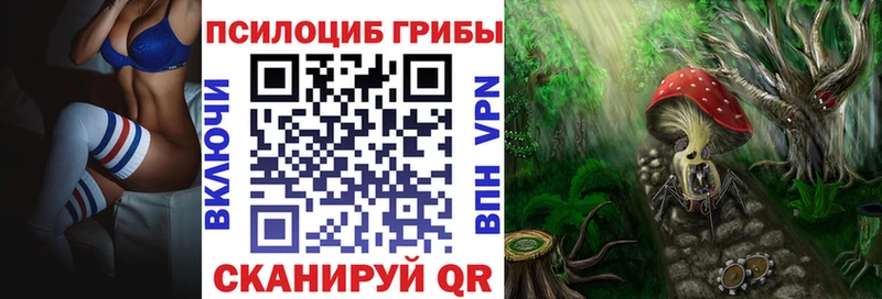 Псилоцибиновые грибы Cubensis  Фокино 